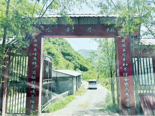 宁圣农业供应链集团赴甘肃调研 推动相关产业创新变革