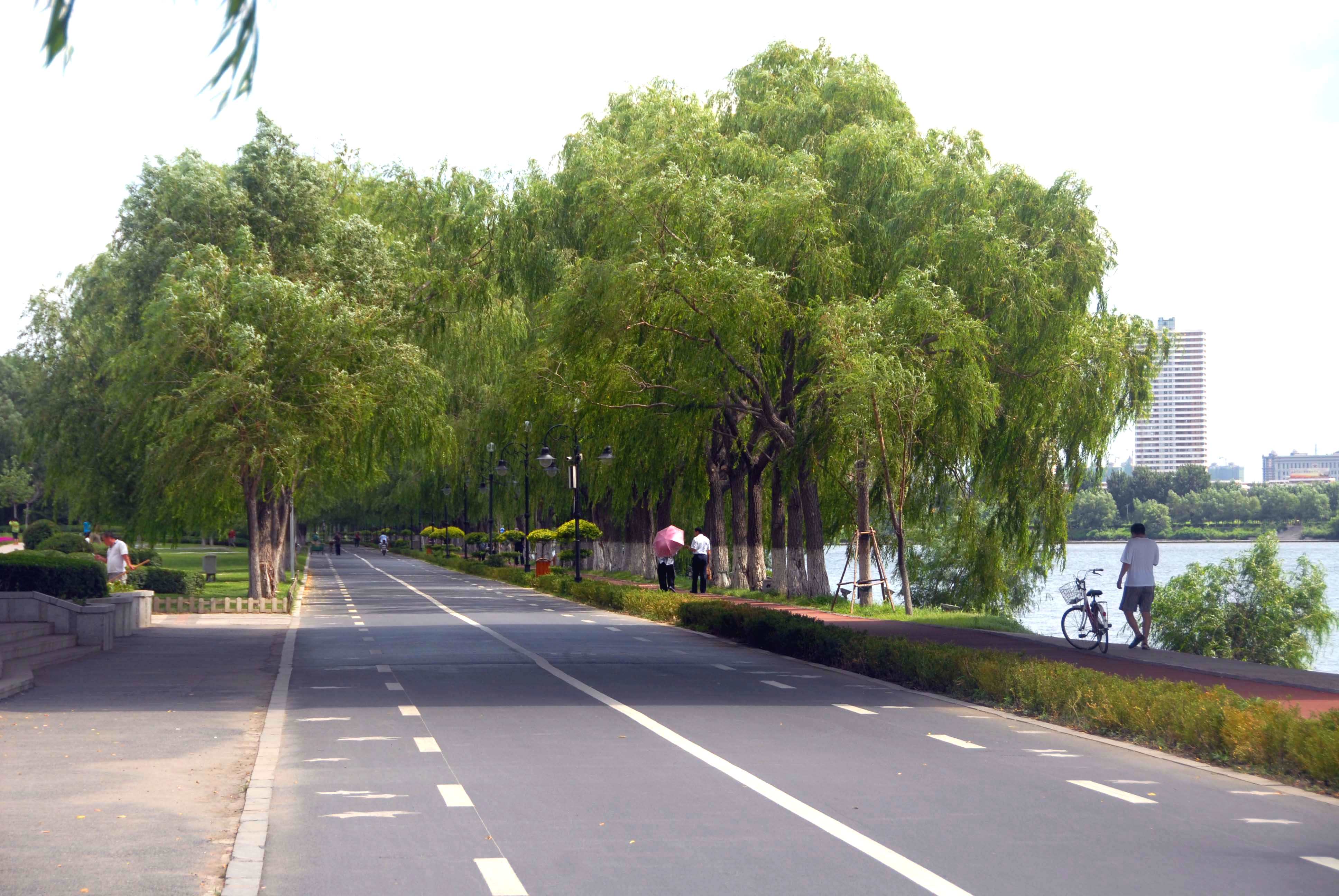 沈阳运动达人解读线上健身直播热 有效率高、成本低、娱乐性强等特点_fororder_mmexport1619579875663_edit_270898662225330