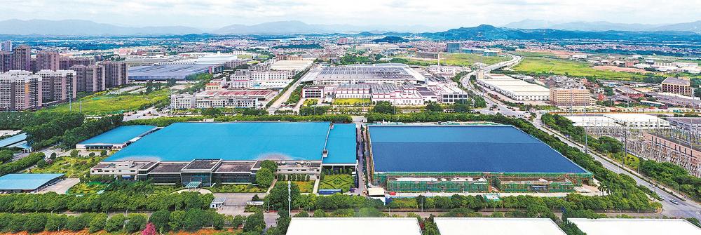 漳州：深耕“一亩地”种出“黄金苗”_fororder_6f0e4959-c33b-49b1-87ee-7d3620a65a7f