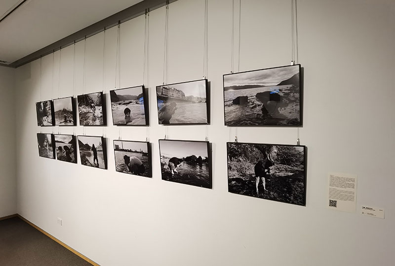 “水系成都”生态艺术展在悉尼中国文化中心开幕_fororder_展览现场-供图-成都市文广旅局