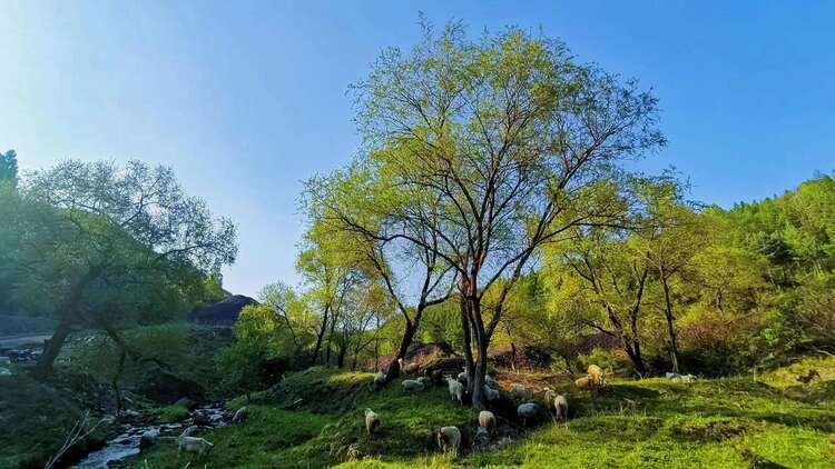 吉林省再增4个省级生态县（市、区）