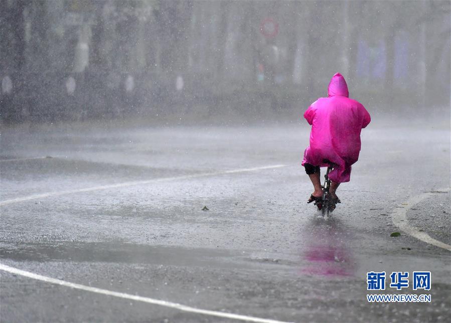 台风“白鹿”影响厦门