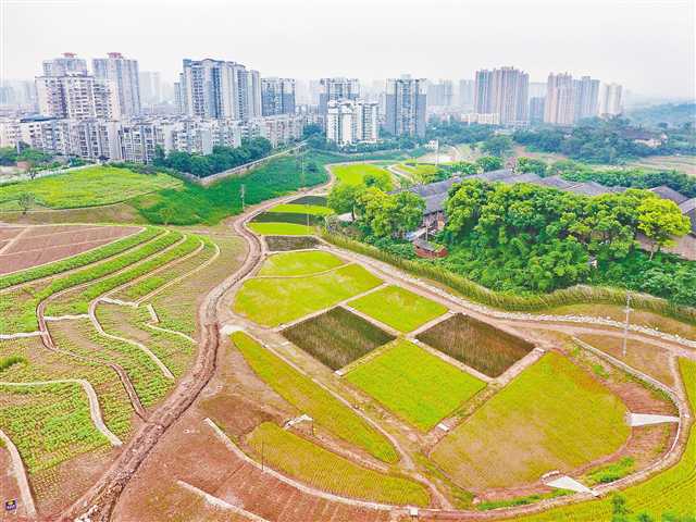 重庆首个城市田园试点项目预计10月投用