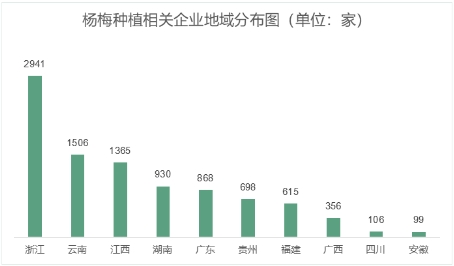 楊梅紅遍靖州每5個人中就有1個種植楊梅