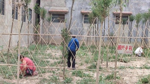 尉氏县十八里镇：构建美丽乡村 人居环境整治不停歇
