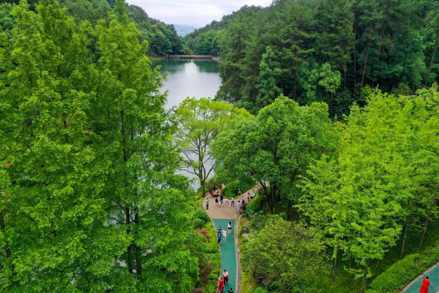 InPics: Bird's-eye View of Jinyun Mountain in Southwestern China