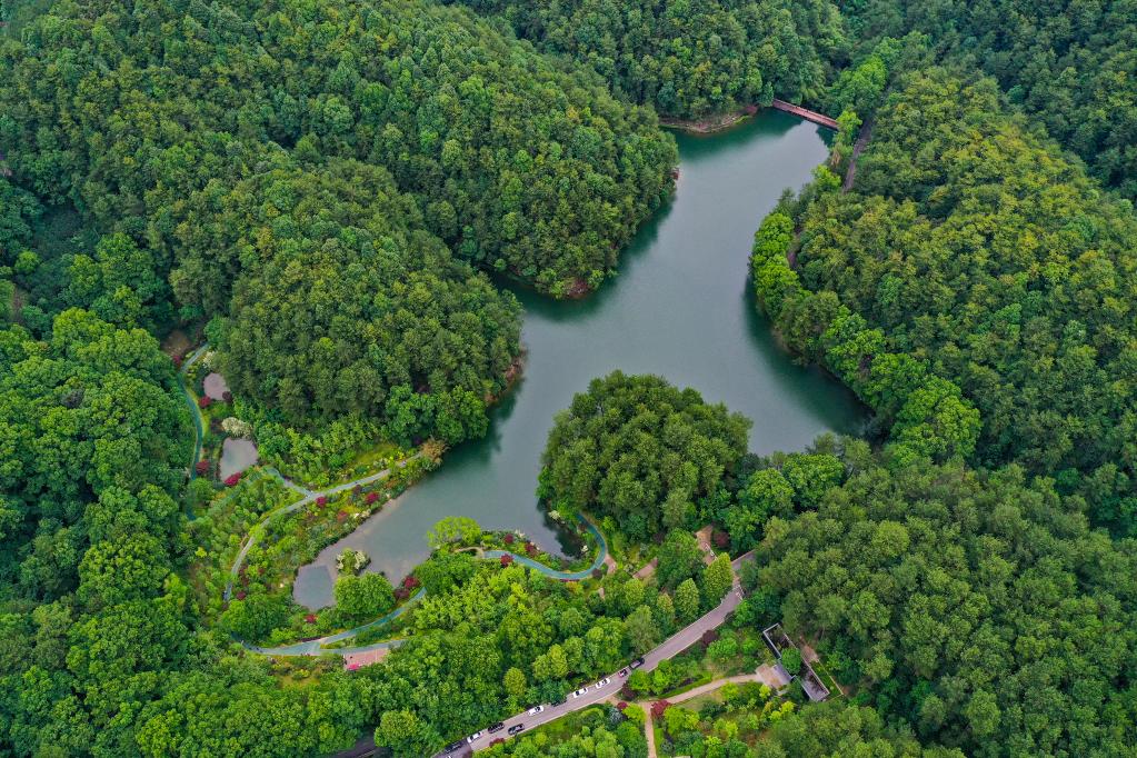 InPics: Bird's-eye View of Jinyun Mountain in Southwestern China