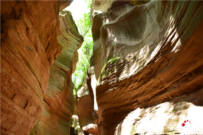 黄土高原上满眼新绿 “生态延安”的“甘泉能量”_fororder_微信图片_20220701091819_副本