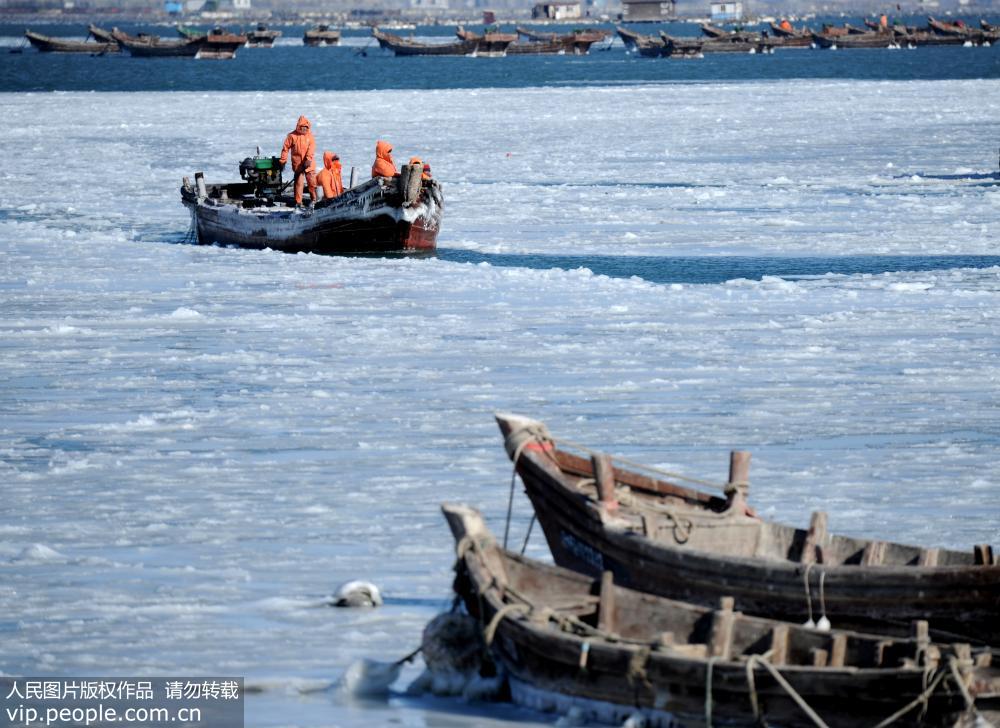 遼寧大連：海冰範圍擴大 漁船“冰封”海面