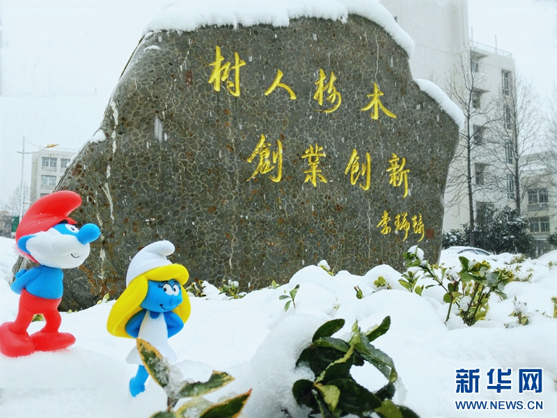 雪中南京城裏的“南京靈”
