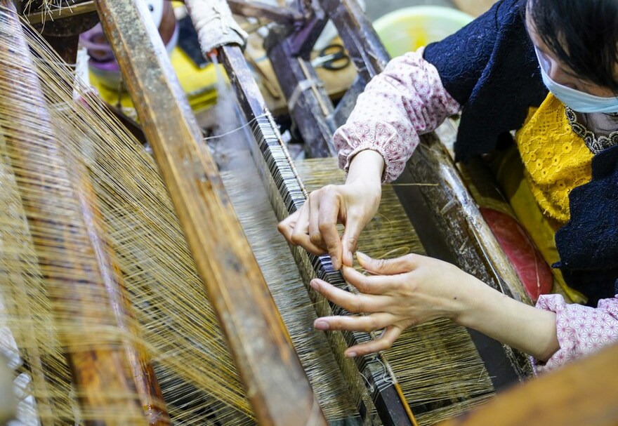 A Stalk of "Chinese grass" Weaves Its Way to the World