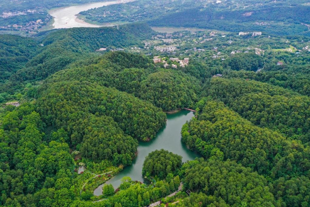 InPics: Bird's-eye View of Jinyun Mountain in Southwestern China