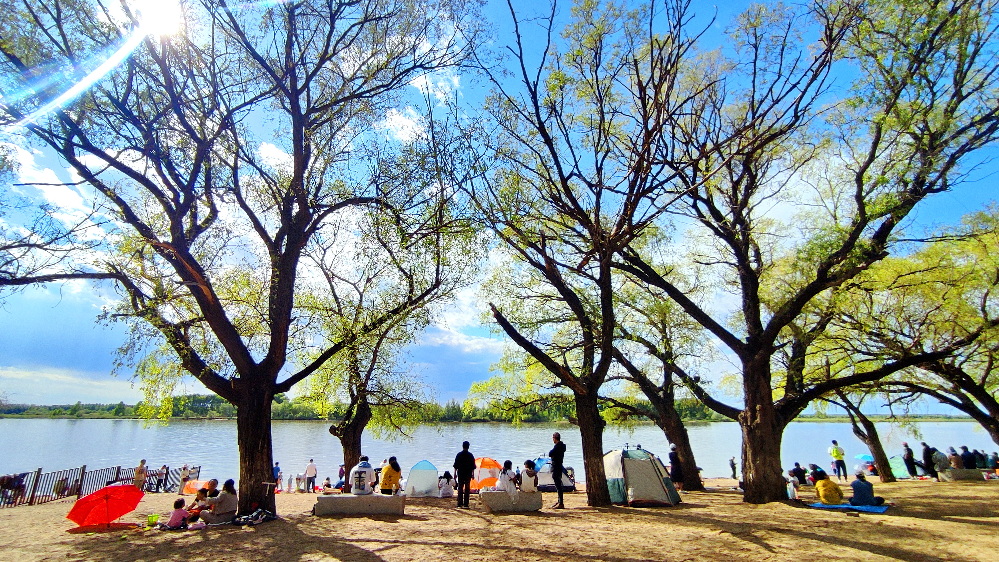 空氣環境品質逐年提升!齊齊哈爾是這樣做的