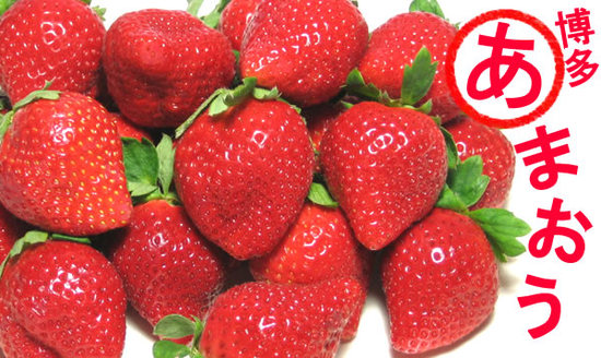 全球最贵葡萄一串7.23万 盘点那些天价水果 全球最贵葡萄一串7.23万 盘点那些天价水果