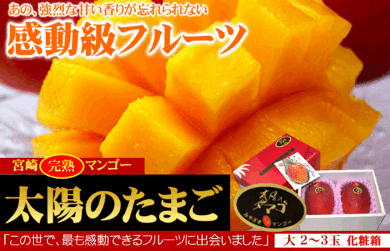 全球最贵葡萄一串7.23万 盘点那些天价水果 全球最贵葡萄一串7.23万 盘点那些天价水果