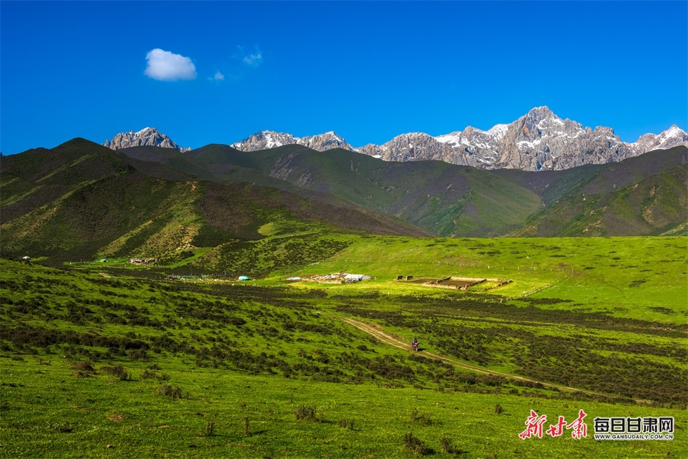 【大美甘肃】草原雪山邀白云 山花牧群醉轻风 夏日武威天祝的美需要用心体会_fororder_6