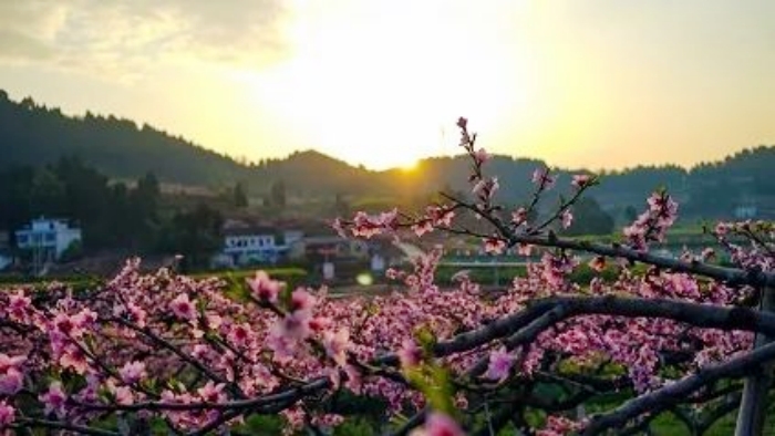 （转载）建示范 创特色 强品牌 大英农文旅融合赋能乡村振兴