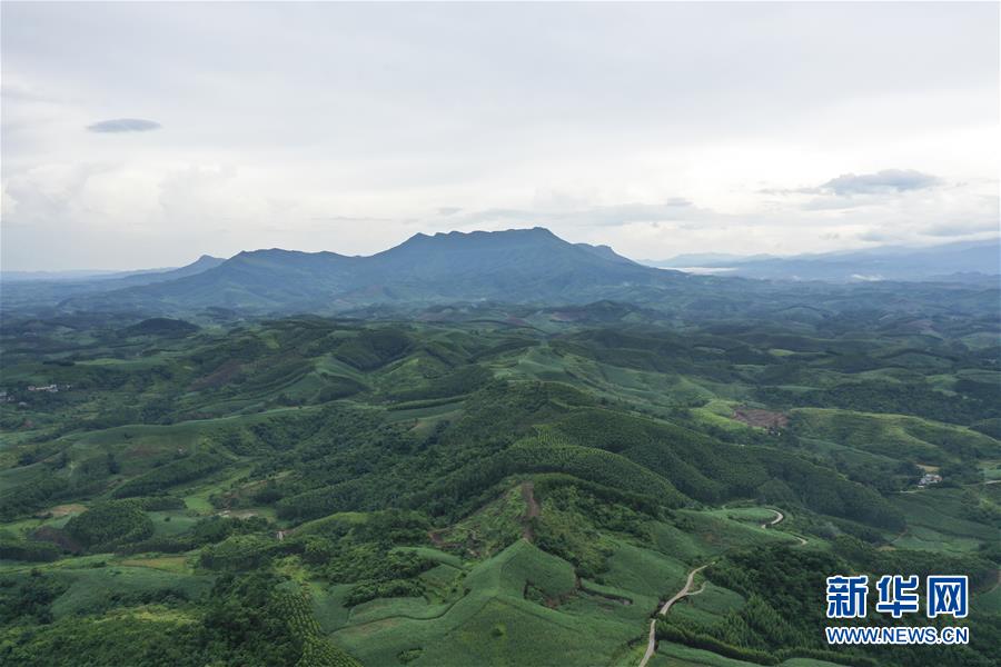 “十万大山”秋色美