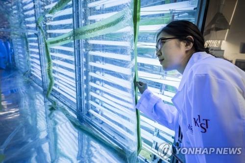 韓政府擬3年投492億韓元 推進減排治霾項目研發