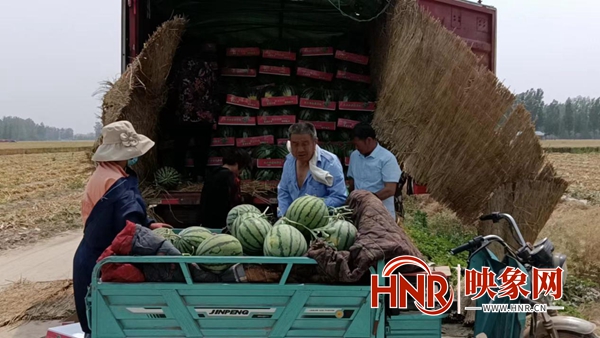 尉氏县十八里镇：西瓜丰收上市 农户增收致富