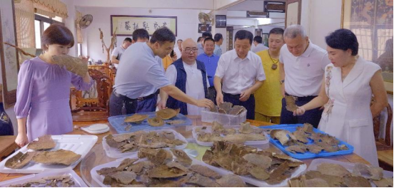 省沉香协会与屯昌县沉香产业共谋发展