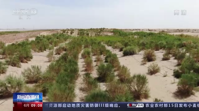 新疆和若铁路今日正式开通：工程防沙+植物防沙 共筑绿色屏障