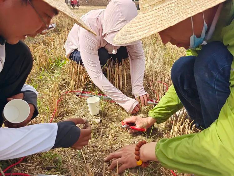 西安市高陵區農林局：“小蜜蜂”守護農情 戰“三夏”_fororder_2