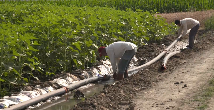 全球连线 | “一带一路”合作项目造福土耳其农民：增加就业 缓解用水难