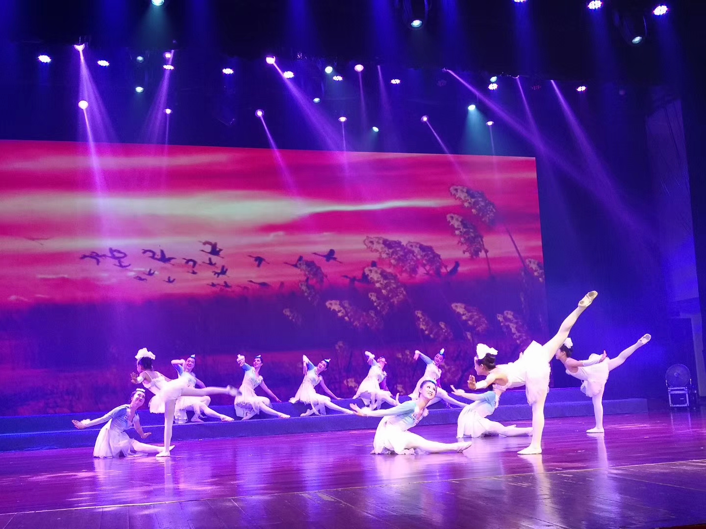 （待）【cri看福建 图文】【chiannews 】【移动版】（闽国庆起施行《福建省电梯安全管理条例》 全面提升电梯质量安全水平 ，下推至列表）庆祝新中国成立70周年系列活动 “为成长插上飞舞翅膀”专场晚会在泉举办