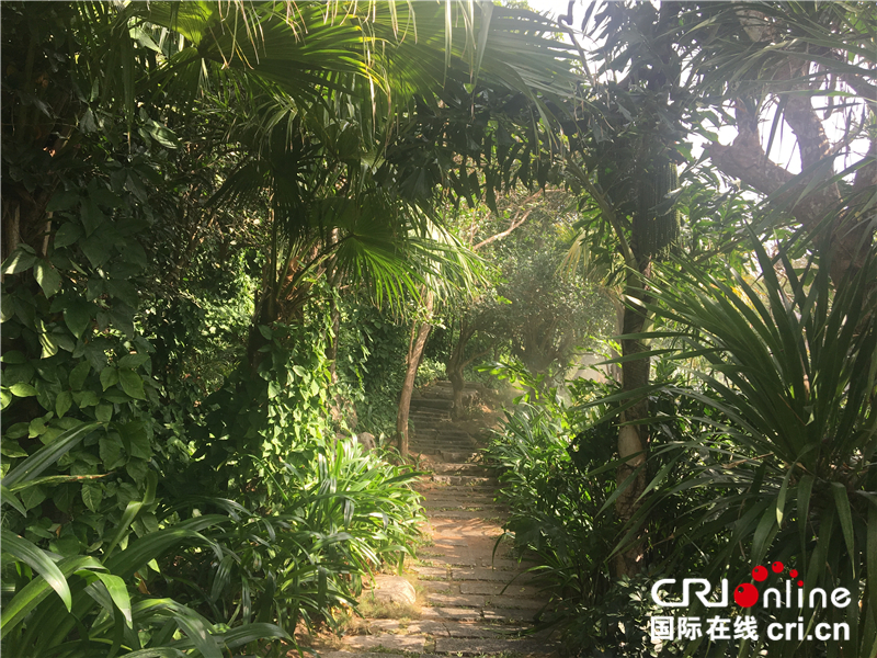 图片默认标题_fororder_岛上植被覆盖率高_副本_副本