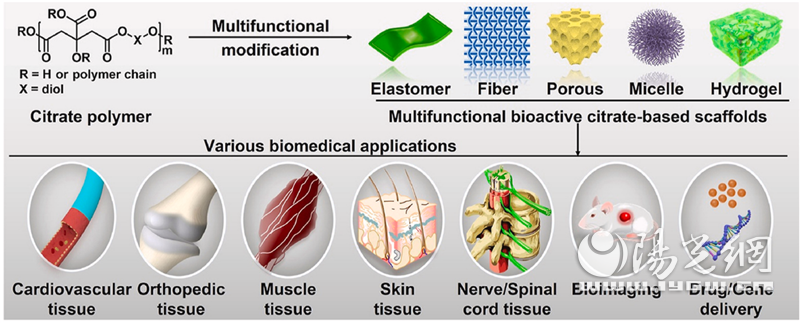 西安市红会医院许鹏教授团队在《Bioactive Materials》发表高水平研究论文_fororder_20220615022719469