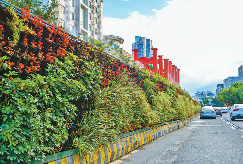 福州鲜花绿植上围挡串起城市风景线