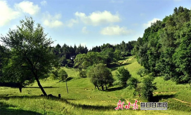 【焦點圖】夏日 在華亭關山坐看雲起靜聽松濤_fororder_3