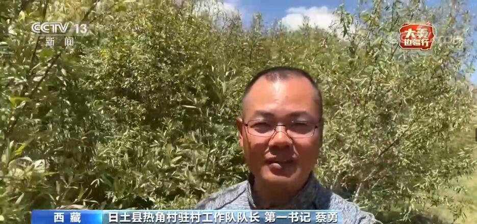 大美边疆行 | 十年新发展 西藏人眼中的西藏