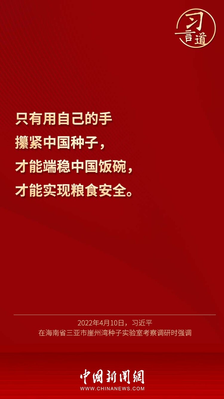 【大国“粮”策】习言道 | “靠中国种子来保障中国粮食安全”
