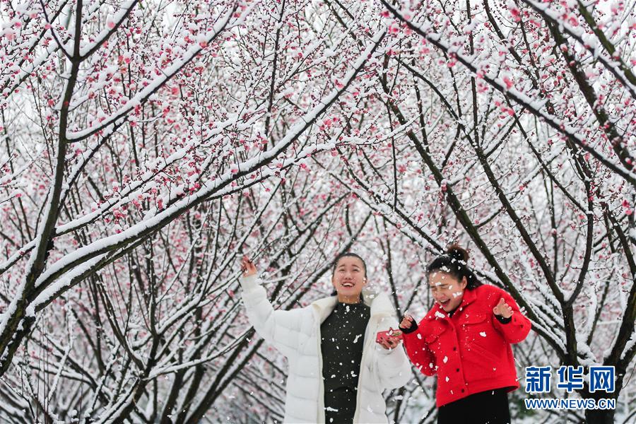 江苏淮安：踏雪寻梅