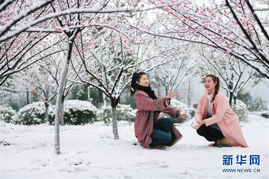 江苏淮安：踏雪寻梅