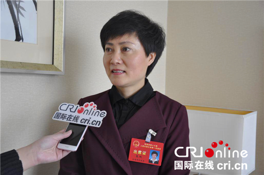 陕西省人大代表,凤县县委书记张帆接受国际在线陕西频道采访