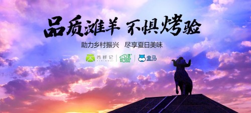 首页>广告正文地处西北的宁夏盐池县是有名的"中国滩羊之乡",2020年