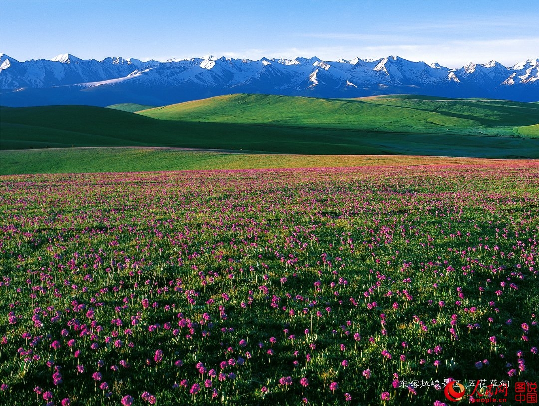 圖説中國：邂逅美麗的新疆喀拉峻大草原