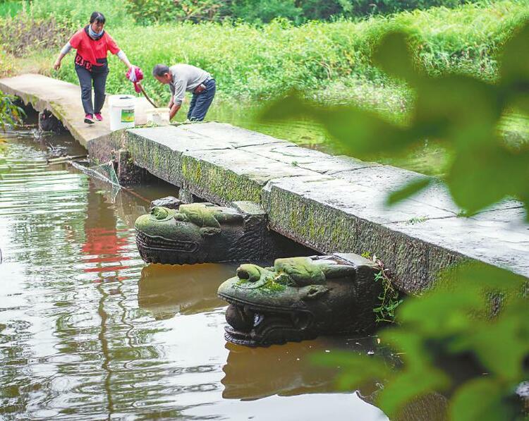 国宝奇峰新桥完整再现马溪河泸县启动龙桥群抢救保护工程