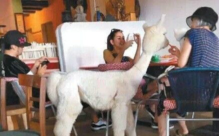 昆凌花7小时为女儿做蛋糕 揭秘周杰伦的情感秘史