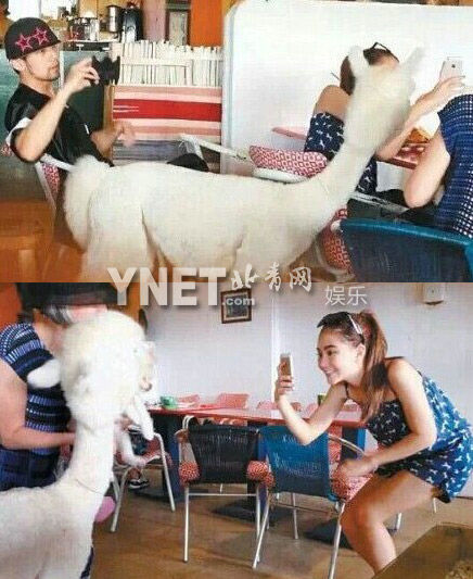 昆凌花7小时为女儿做蛋糕 揭秘周杰伦的情感秘史