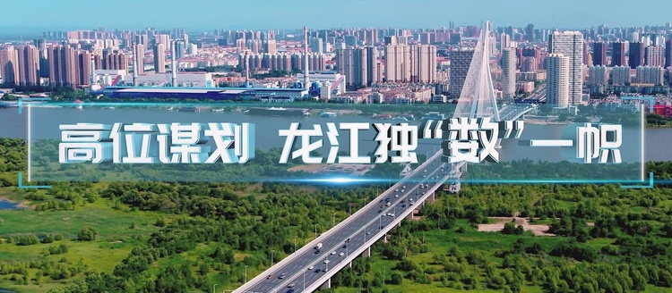 黑龙江在数字经济发展中的方向及规划解读
