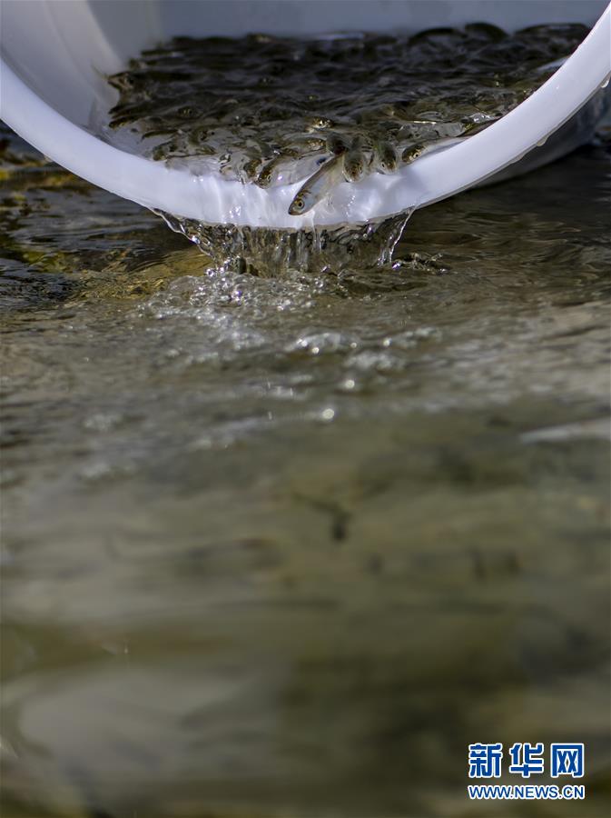 云南玉溪举行抚仙湖保护日活动