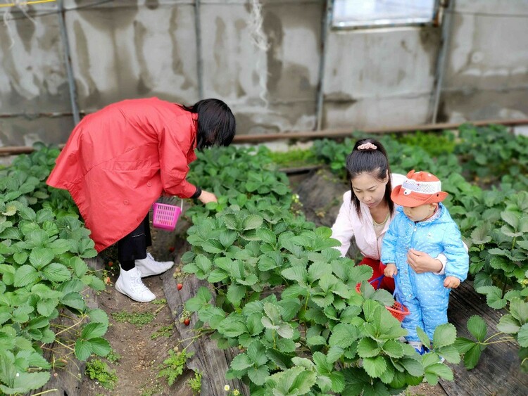 鄉村遊如何成為振興新引擎？