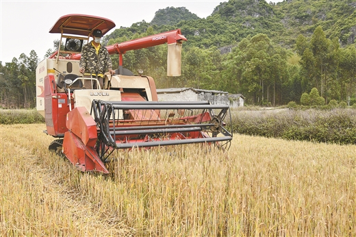 来宾抓好农技创新示范打造绿色生产新模式