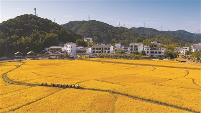 广州将打造七个百亿级农业产业集群_fororder_8731220_oujy_1657631778102_b