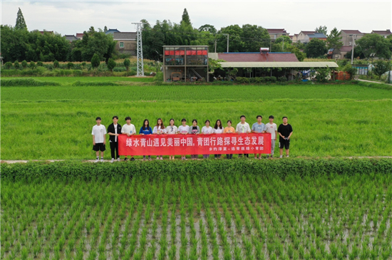 南京中医药大学暑期实践团感叹江苏乡村无处不风景_fororder_3