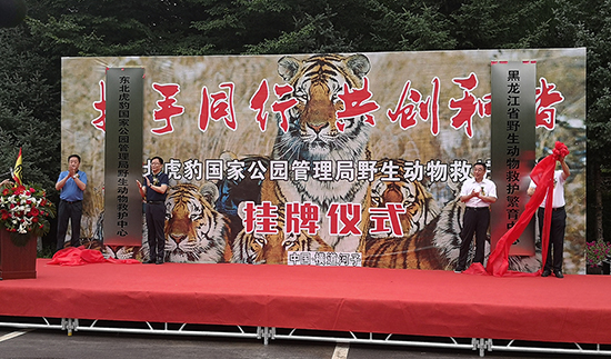 A【吉02】东北虎豹国家公园在黑龙江成立救护中心